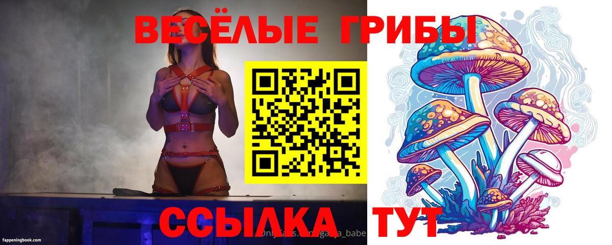 купить  цена  Псилоцибиновые грибы Psilocybine cubensis  Галлюциногенные грибы мицелий  Вход с VPN  Вышний Волочёк 